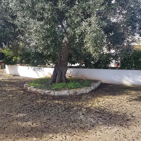 Trullo Luce