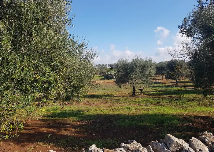 Дом отдыха Trullo Luce